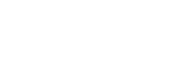 Mr. Exclusive Logo