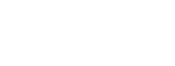 Niraut Digital Media Logo